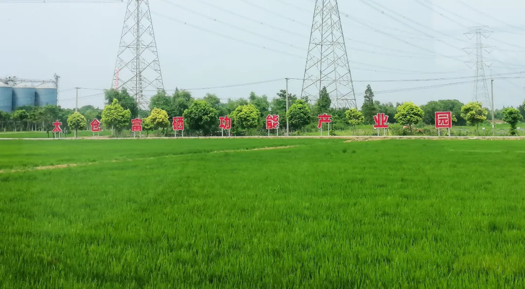 功能農業：解鎖農業質量效益提升新路徑 ——協會、科技與企業三方圓桌話未來